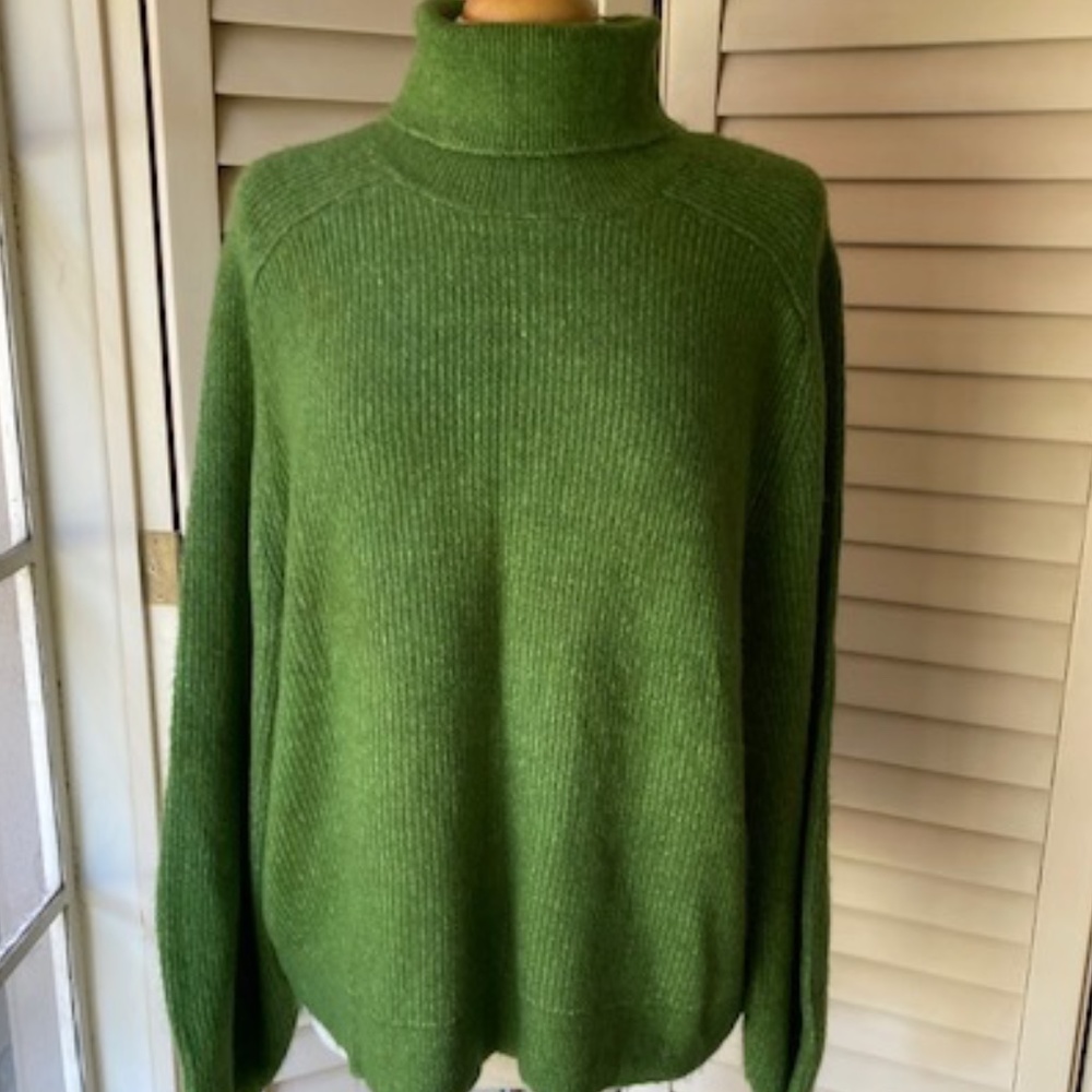 Turtleneck Pullover Sweater NWOT